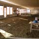 Vue int�rieure du gym